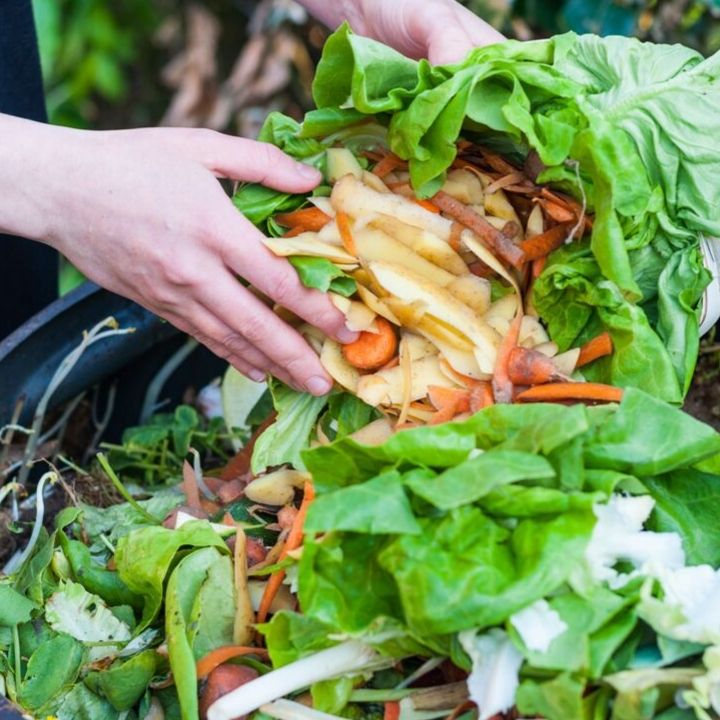 Addressing Food Insecurity, Part 3: Food Waste