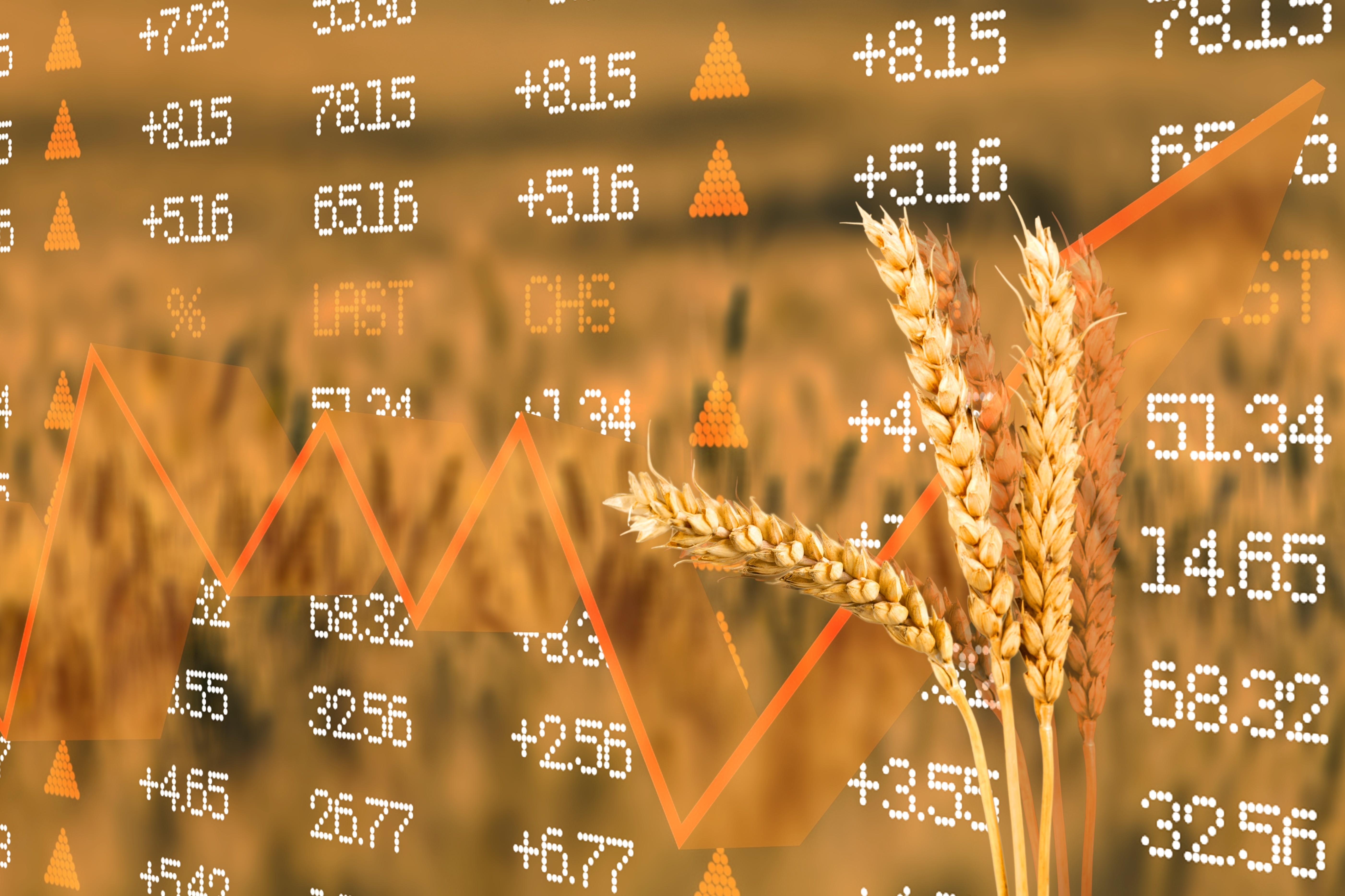 How Global Currency and the Canadian Dollar Impact Agriculture