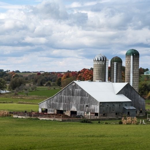 Joint Statement on Security from Trespass and Protecting Food Safety Act, 2020: Protecting Ontario Farms and the Food System