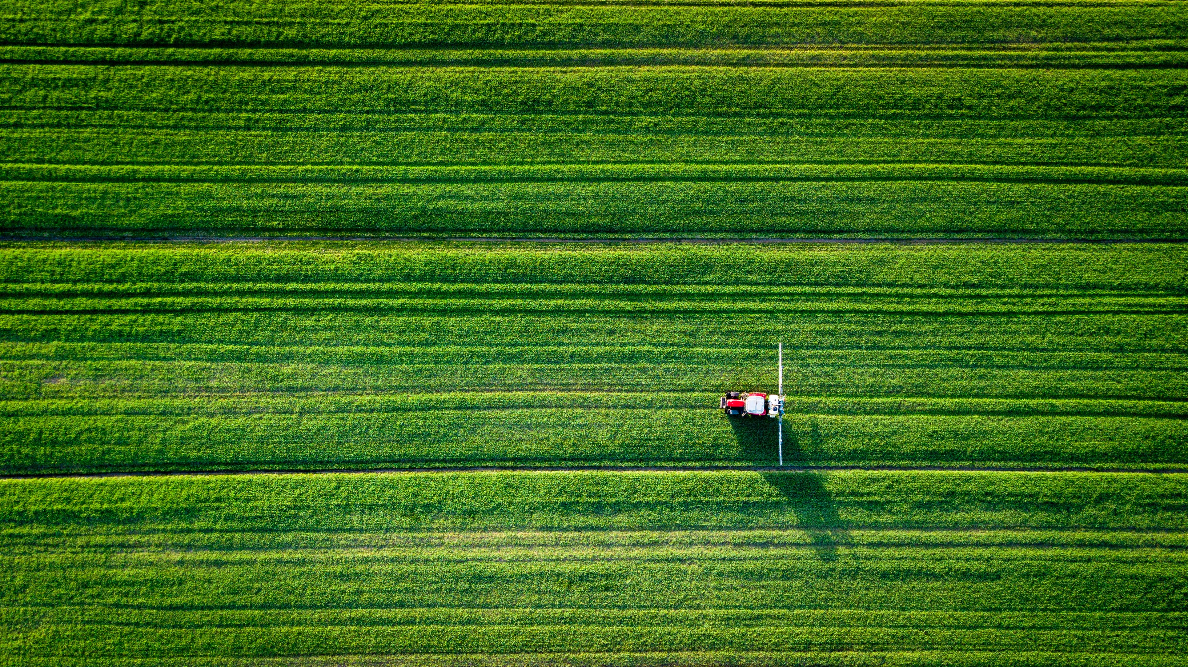 Short-Term Thinking at Queen's Park Will Have Consequences for Ontario Agriculture