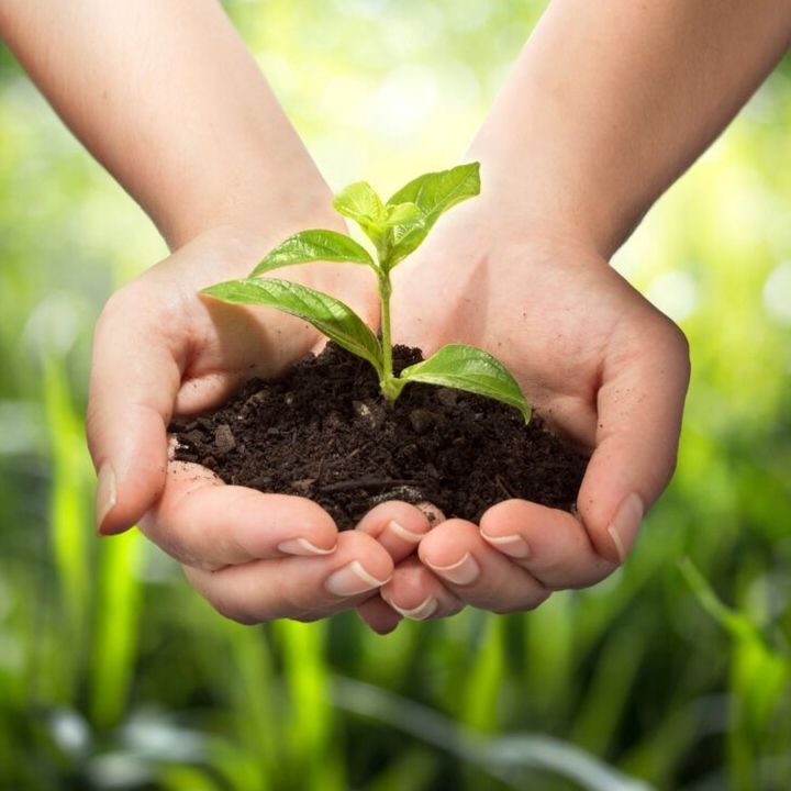 Soil For Life: New Movement Connects Ontario’s Soil Health Conversation