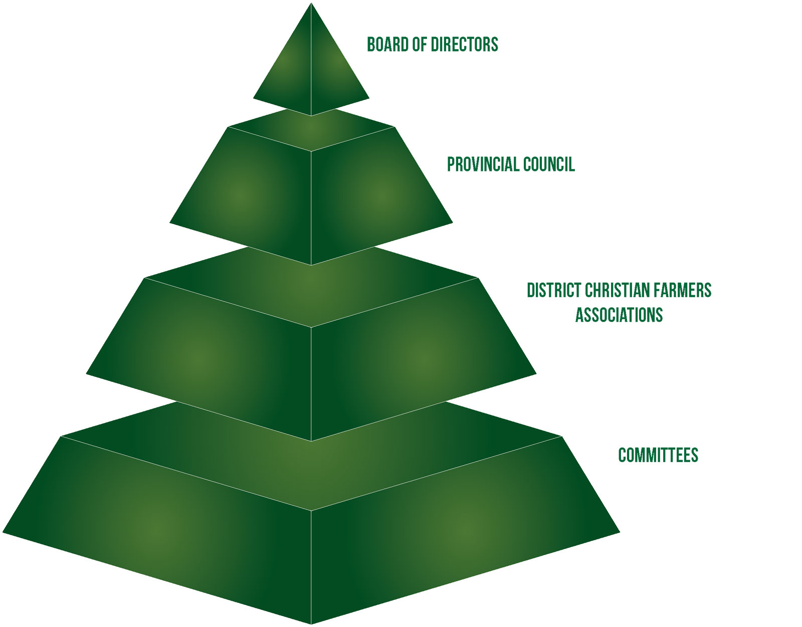 CFFO Structure