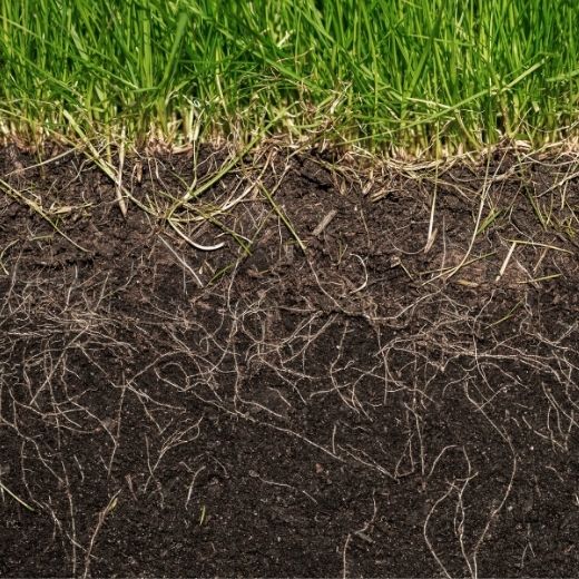 Soil Health Key to Meeting Emission Reduction Targets