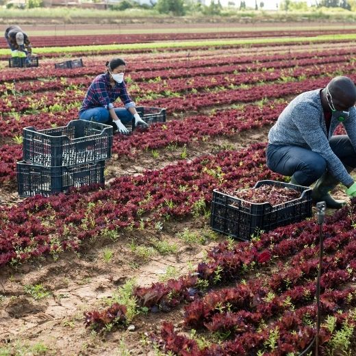 Farmers and Workers Need Fair Treatment in Public Health Decisions