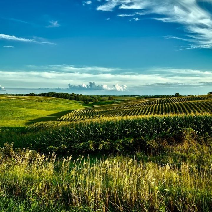 Farming and the Ecosystem