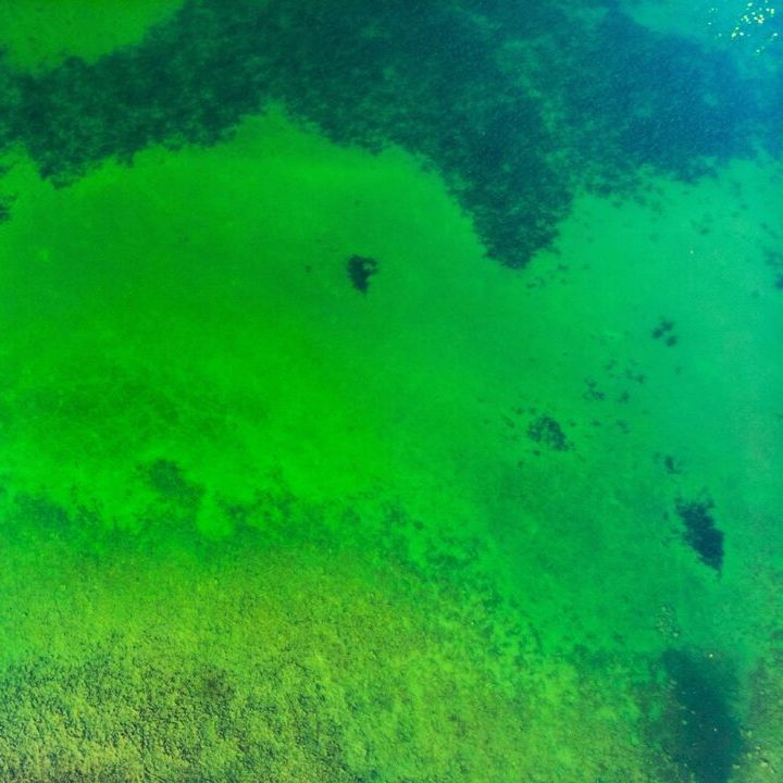 How Can We Ever Clean up Lake Erie?