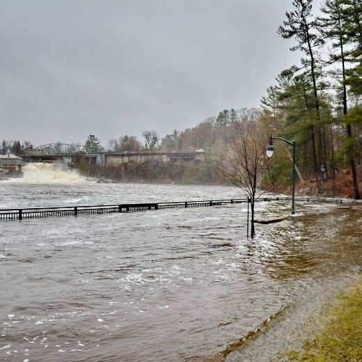 Bill 229: A Watershed Moment for Conservation Authorities