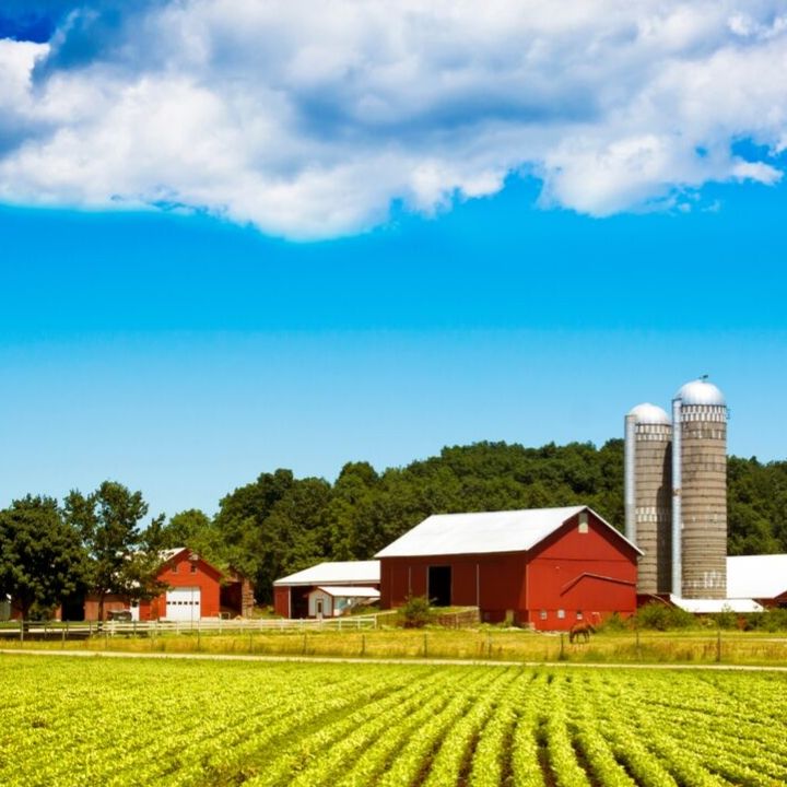 New Legislation Protects Farms and Food Safety