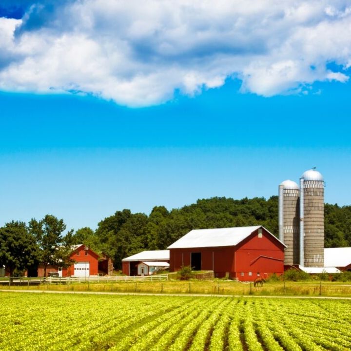 Respecting the Right to Farm & Right to Protest