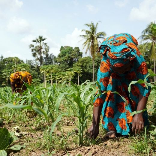 Feeding a Hungry World: Join Our Giving Tuesday Campaign