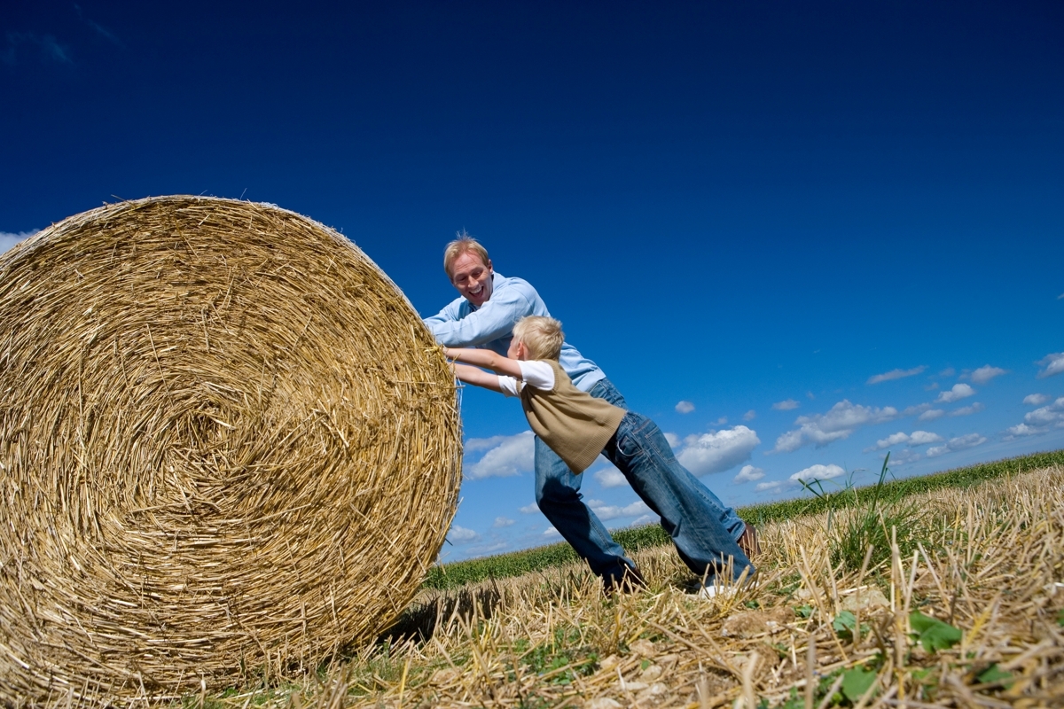 Mentorship of Young Farmers: Sharpening Each Other for a Stronger Future