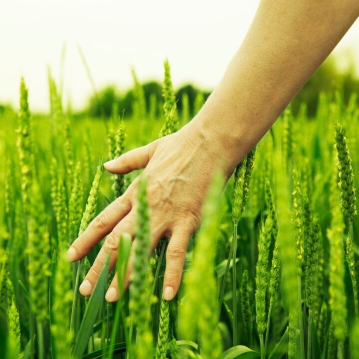 The Future of Fertilizer